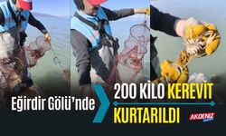 Eğirdir Gölü’nde 200 kilo kerevit kurtarıldı