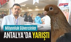 Milyonluk Güvercinler Antalya’da Yarıştı