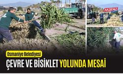 OSMANİYE: BELEDİYE EKİPLERİ, KENT ESTETİĞİ İÇİN MESAİDE