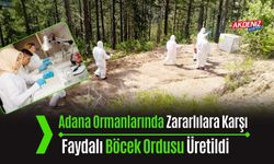 Adana Ormanlarında Zararlılara Karşı Faydalı Böcek Ordusu Üretildi