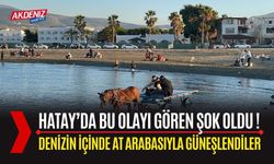 Hatay’da Görenleri Şaşırtan Manzara: At Arabasıyla Denize Girdiler