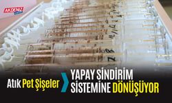 Atık Pet Şişeler, Yapay Sindirim Sistemine Dönüşüyor