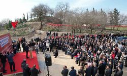 Camili Höyüğü Şehitliği, Kurtuluş Mücadelesinin İzlerini Taşıyor