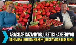 Çilek Üreticisi Zor Günler Geçiriyor: Fiyatlar Dibi Gördü