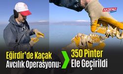 Eğirdir’de Kaçak Avcılık Operasyonu: 350 Pinter Ele Geçirildi