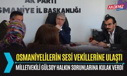 OSMANİYELİLER SORUNLARINI ANLATTI, GÜLSOY ÇÖZÜME KOŞTU