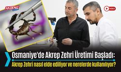 OSMANİYE'DE AKREP ZEHRİ ÜRETİMİ BAŞLADI: HEDEF DÜNYA PAZARINA GİRMEK