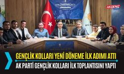 OSMANİYE: AK PARTİ GENÇLİK KOLLARI TOPLANTISI YAPILDI