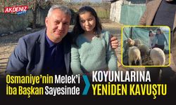 OSMANİYE'NİN MELEK'İ, BAŞKAN İBA SAYESİNDE YENİDEN KOYUNLARINA KAVUŞTU