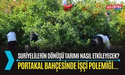 Suriyeli İşçilerin Dönüşü Adana Tarımını Nasıl Etkileyecek?