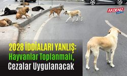 2028 İddiaları Yanlış: Hayvanlar Toplanmalı, Cezalar Uygulanacak