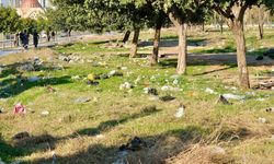 Adana Büyükşehir Belediyesi'nden Temiz Çevre İçin Örnek Çalışma