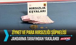 OSMANİYE: HIRSIZLIK ŞÜPHELİSİ JANDARMA EKİPLERİNCE YAKALANDI