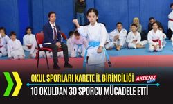 OSMANİYE: KARETE MÜSABAKALARINA 10 OKULDAN 30 SPORCU KATILDI