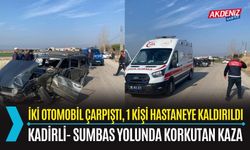 OSMANİYE: KADİRLİ-SUMBAS YOLUNDA TRAFİK KAZASI: 1 YARALI