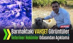 OSMANİYE: VETERİNER HEKİMLER ODASI OLAYLARA NE DİYOR?