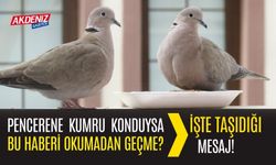 Pencerene Kumru Konduysa Bu Haberi Okumadan Geçme? İşte Taşıdığı Mesaj!