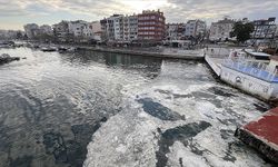 Çanakkale sahillerinde müsilaj görülmeye başlandı