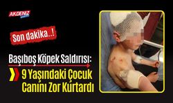 Başıboş Köpek Saldırısı: 9 Yaşındaki Çocuk Yaralandı