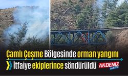 ORMAN YANGINI EKİPLERİN MÜDAHALESİ İLE SÖNDÜRÜLDÜ