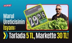 Marul Üreticisinin İsyanı: Tarlada 5 TL, Markette 30 TL!