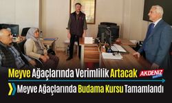 OSMANİYE'DE MEYVE AĞAÇLARINDA BUDAMA KURSU TAMAMLANDI