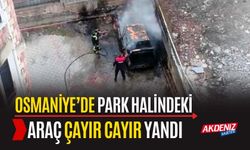 OSMANİYE’DE PARK HALİNDEKİ ARAÇ ÇAYIR CAYIR YANDI