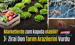 ZİRAİ DON, MARKET FİYATLARINI NASIL ETKİLEYECEK?