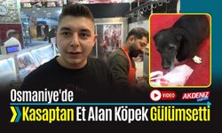 OSMANİYE'DE KASAPTAN ET ALAN KÖPEK GÜLÜMSETTİ