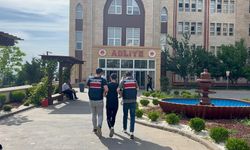 Vicdanları Sızlatan Görüntüler Sonrası Gözaltına Alınan Kişi Serbest Kaldı