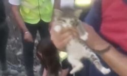 Osmaniye’de inşaat alanında bulunan kuyuya düşen yavru kedi kurtarıldı