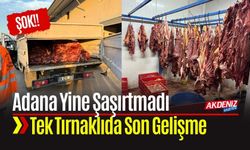 Adana’da 3 Ton Tek Tırnaklı Hayvan Eti Ele Geçirildi