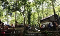 Adana'da sıcaktan kaçanlar, tabiat parkında serinledi