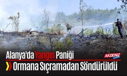 Alanya'da Yangın Paniği: Ormana Sıçramadan Söndürüldü