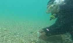 Antalya'da Deniz Dibinden Yükselen Hıdırellez Dilekleri Şaşkınlık Yarattı