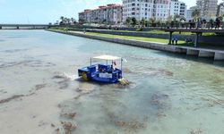 Biyoçeşitlilik ve Kıyı Erozyonuna Karşı Yeni Adımlar Atılıyor