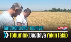 Ekmeklik Buğday Tarlalarında Kontroller Yapıldı