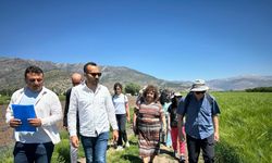 Cezaevlerinde AB Destekli Organik Tarım Eğitimi Başlıyor