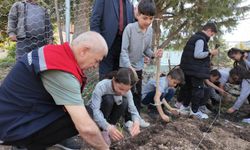 Eğirdir'de Öğrencilerden Doğaya Yeşil Dokunuş