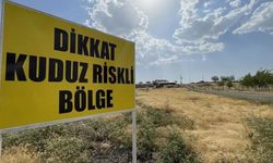 Hatay'da 4 mahalle kuduz nedeniyle karantinaya alındı