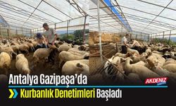 Antalya Gazipaşa’da Kurbanlık Denetimleri Başladı