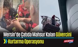 Mersin’de Çatıda Mahsur Kalan Güvercini Kurtarma Operasyonu
