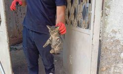 İtfaiye Ekipleri Seferber Oldu, Minik Kedi Sağ Salim Çıkarıldı