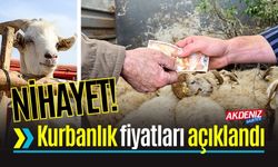 Osmaniye'de kurbanlık fiyatları belirlendi