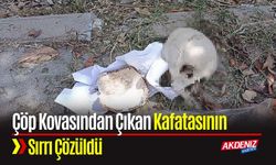 Çöp Kovasındaki Kafatasının 31 Yıllık Sırrı Çözüldü