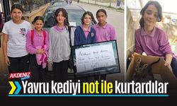 Araç Sileceğine Bıraktıkları Not Kediyi Kurtardı
