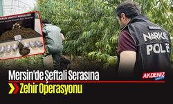 Mersin'de Şeftali Serasına Zehir Operasyonu