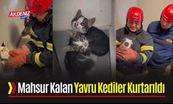 Mahsur Kalan Yavru Kediler Kurtarıldı