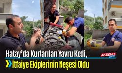Hatay’da Kurtarılan Yavru Kedi, İtfaiye Ekiplerinin Neşesi Oldu
