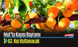 Mut’ta Kayısı Bayramı 63. Kez Kutlanacak